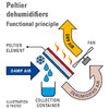 functional-principle-of-a-peltier-dehumidifier.jpg